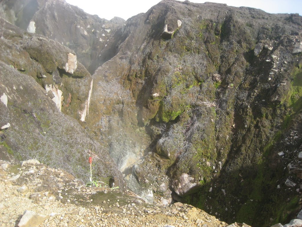 Sommet de la Soufrière - Guadeloupe by shlomoavital