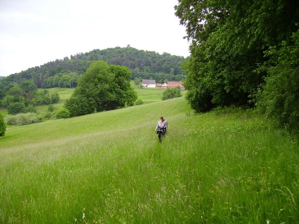 Breuberg von Hainstadt by lreeg