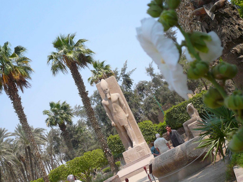 Memphis.la statua del faraone ramses II by Egidio Moretton