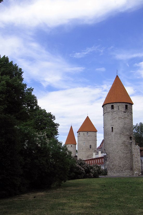 Linnamüüri tornid (Town Wall towers) 2 by mailane13