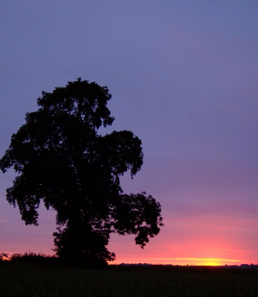 Solstice Sunrise just seen by Peter C Byron