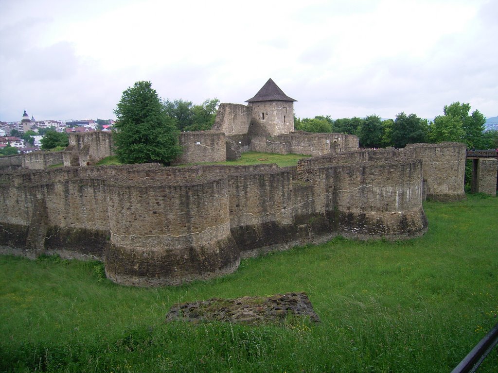 Cetatea de scaun a Sucevei by Alexandru Flueras