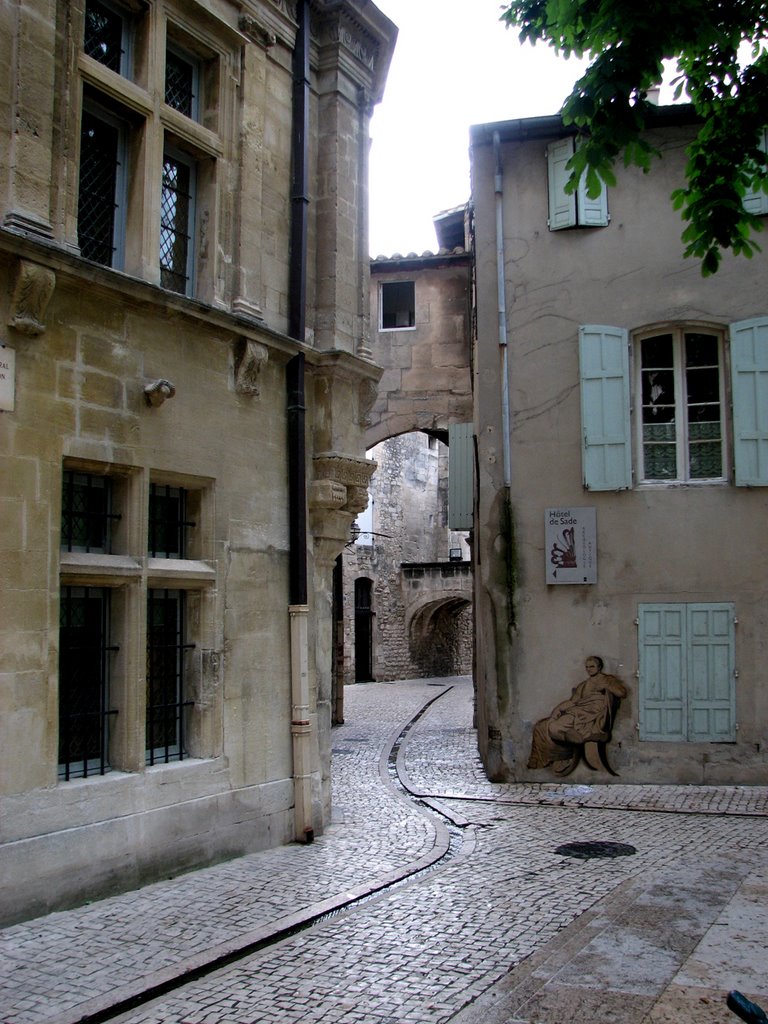 Saint Remy. Francia. by Valentín Enrique