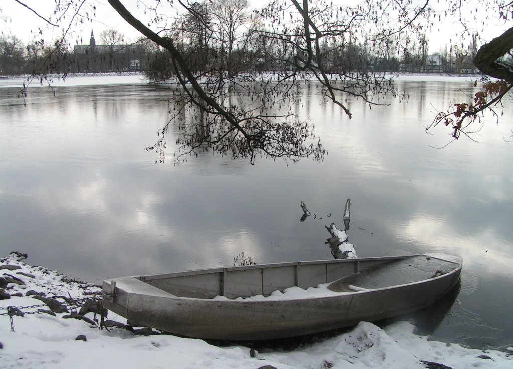 Kreuzteich Riddagshausen im Winter by Bruxel