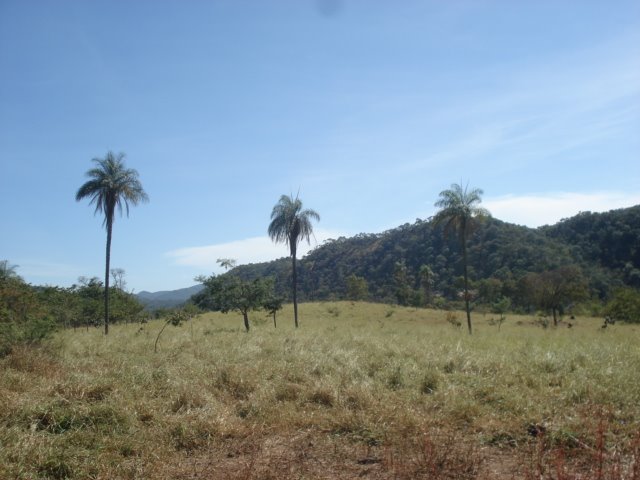 Formosa (GO) - Trekking Araras/Capetinga - Palmeiras (2) by Rafael José Rorato