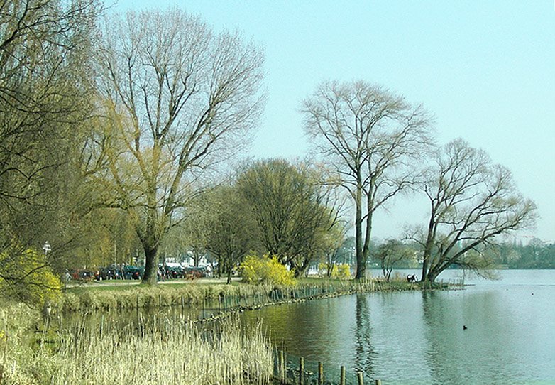 Aussenalster im Frühling Westufer by colour phenology