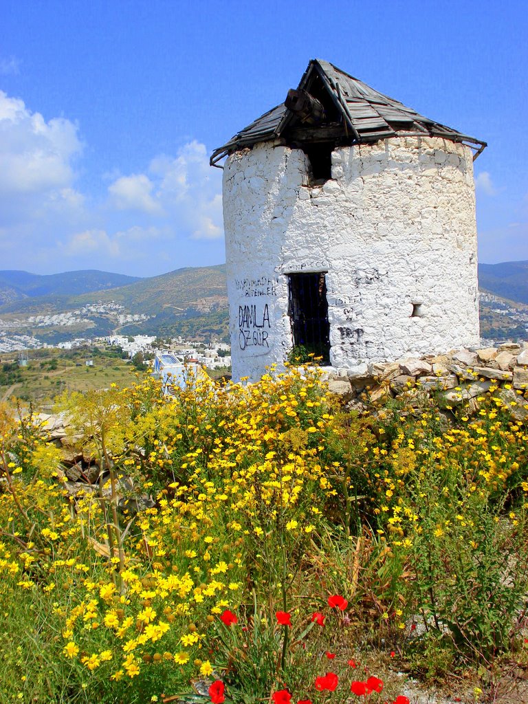 Eskiçeşme, 48400 Bodrum/Muğla, Turkey by ihsan özardıç