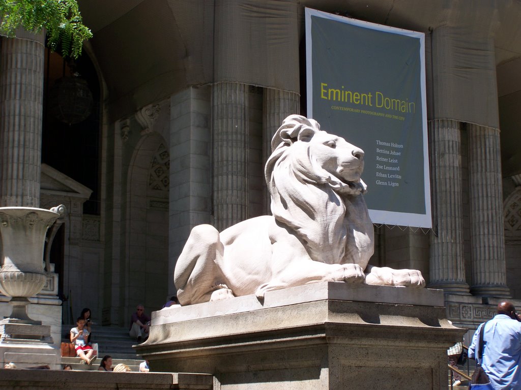 New York Public Library by zacharystewart