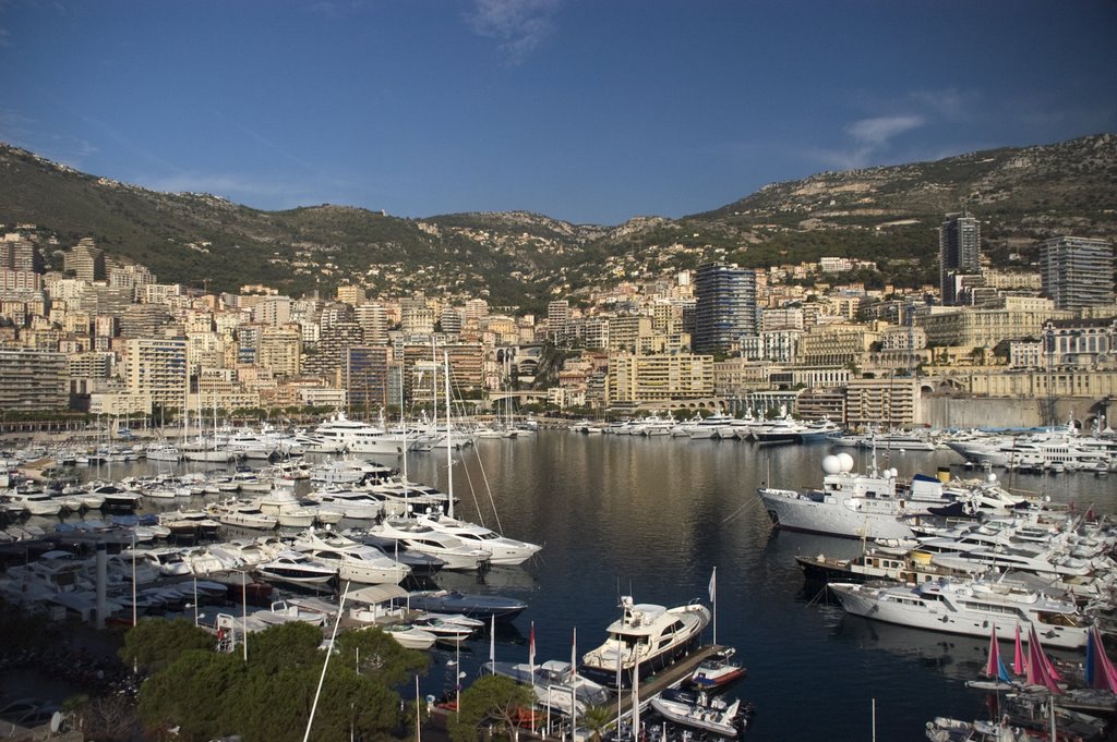 Monaco by Belle Momenti Photog…