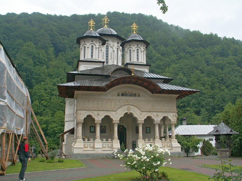 Biserica manastirii Lainici by BogdanGoim