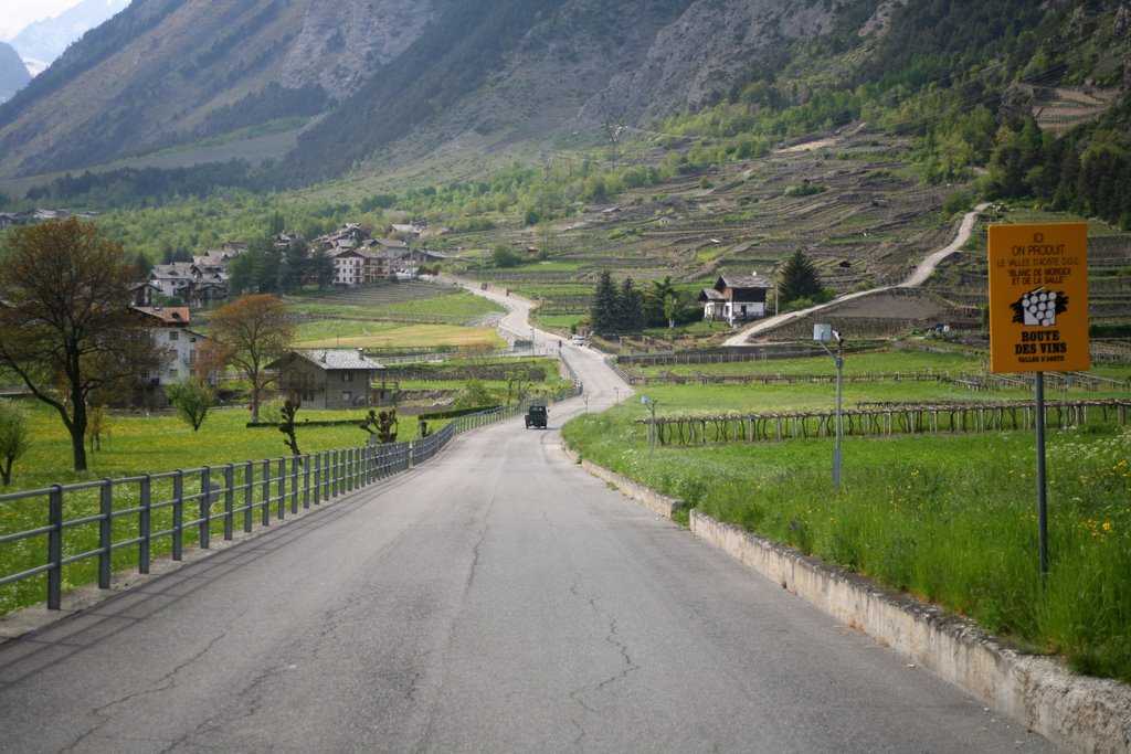 Route des Vins, Courmayeur, Valle d'Aosta, Italia by Hans Sterkendries