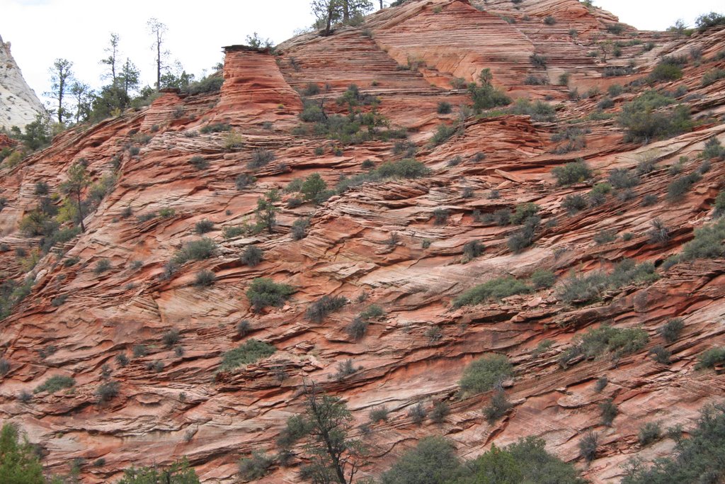 Zion Park - 3 by by niro