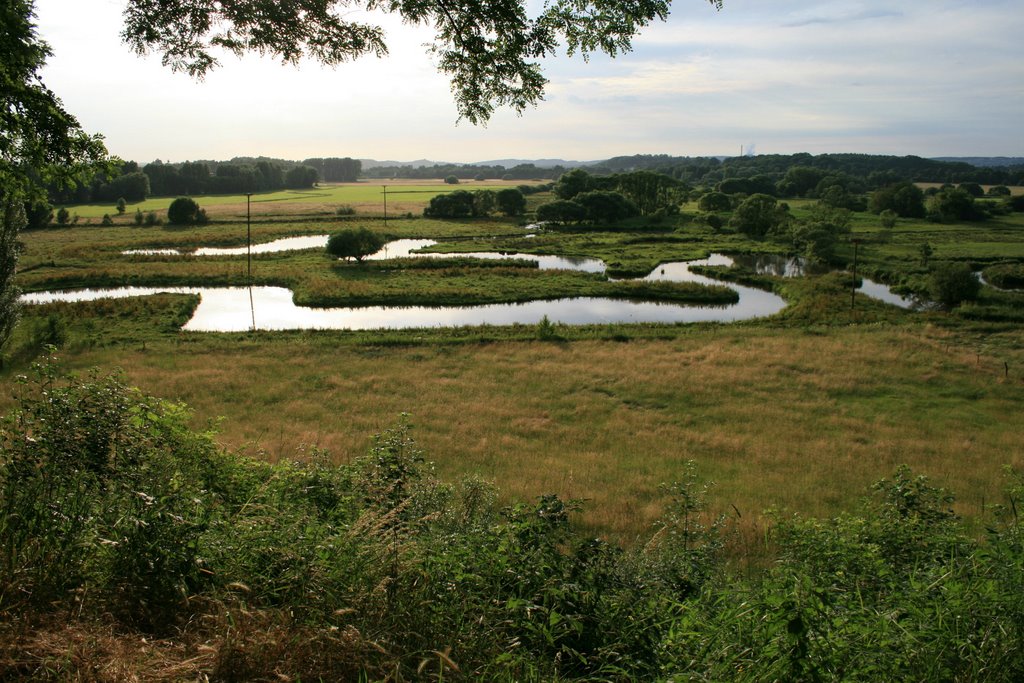 Beeden -Biotop by dhtneuschwander