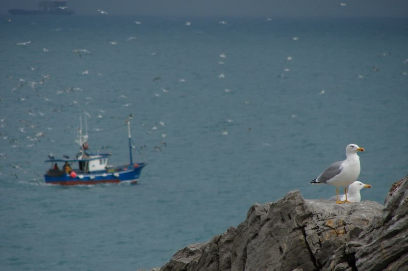 Castro Urdiales by aitortxu