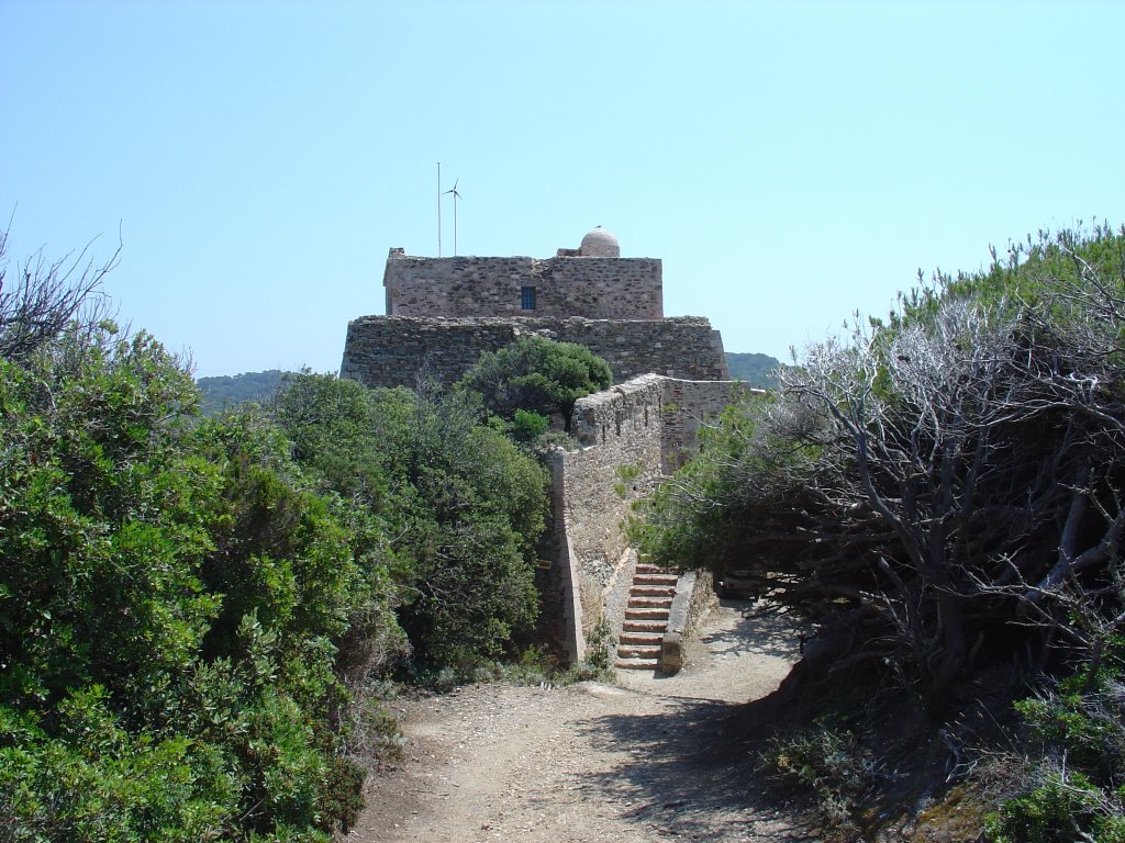 Le fort du Grand Langoustier by Xenophane