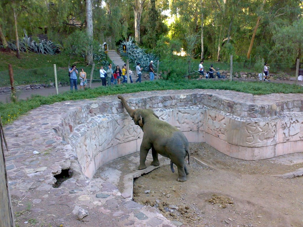 Elefante en Zoologico de Mendoza - Argentina by estaciondx