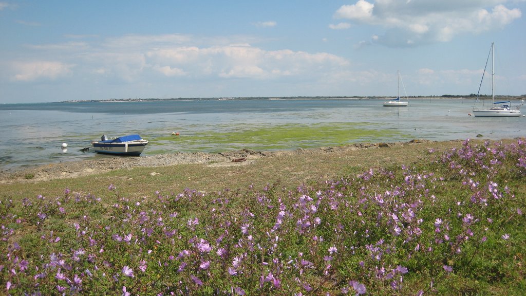 2008 - marée basse au port de Loix by Vitalguiochet