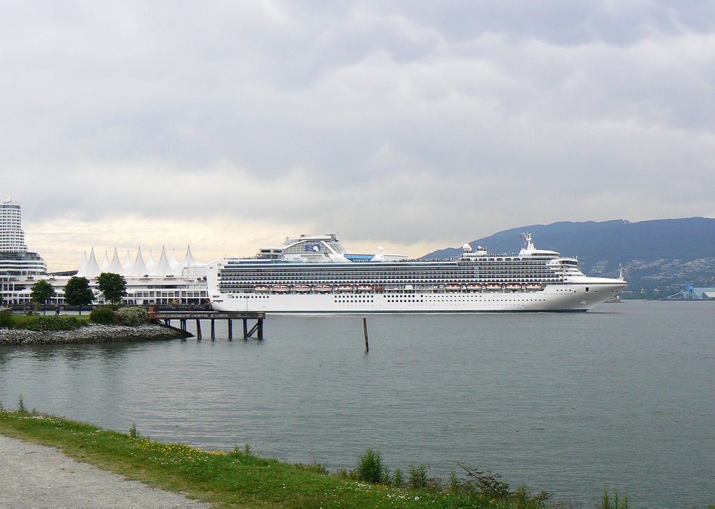 Diamond Princess departing by Nikki Q