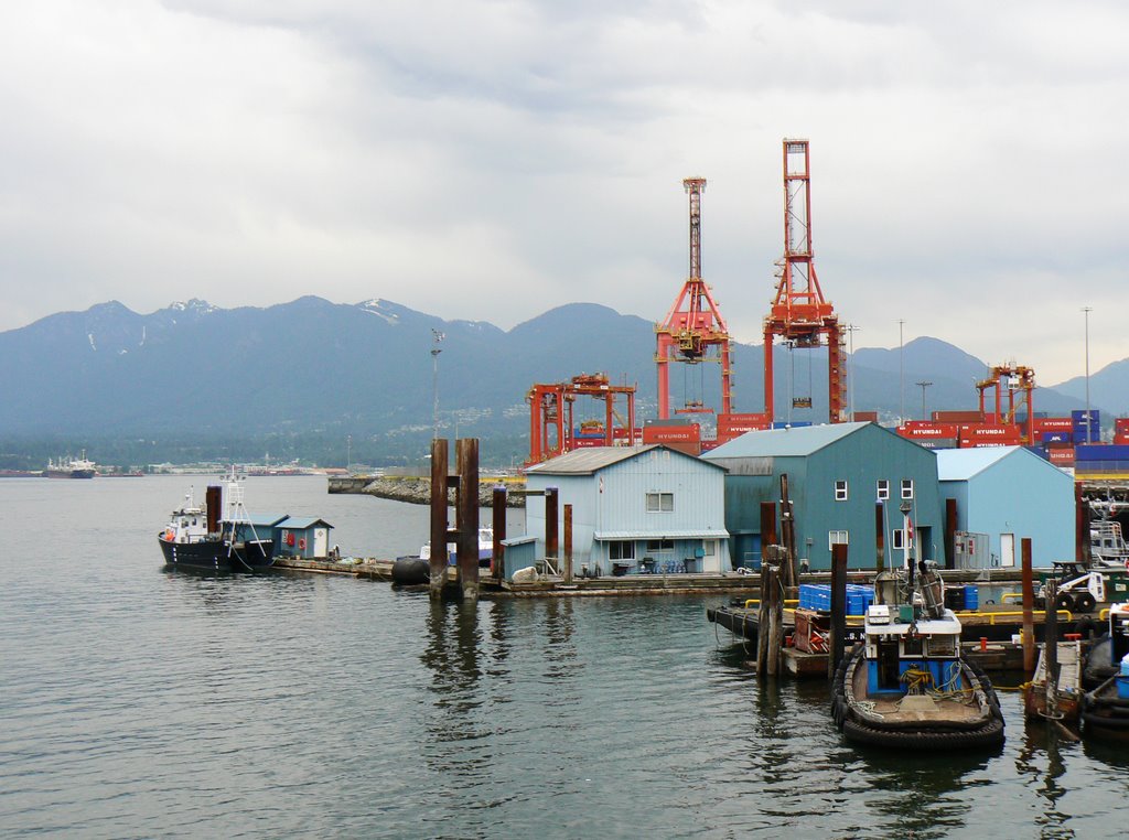 Vancouver Harbour by Nikki Q