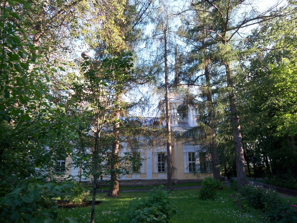 The church of Nativity of Our Lady Theotokos (barely seen through the trees) by Arseny Khakhalin