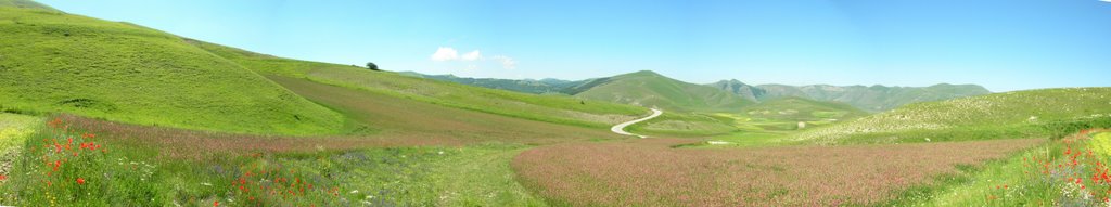 Monti del Sole - Fioritura (flowering) Pink by Francesco Alfonzi