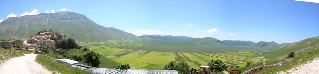 Castelluccio - Fioritura (flowering) by Francesco Alfonzi