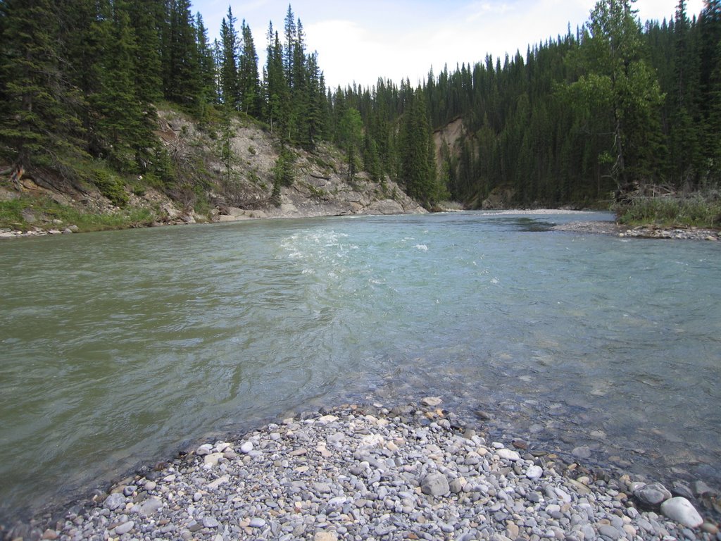 Where the Ghost River and Waiparous Creek Meet West of Calgary AB by David Cure-Hryciuk