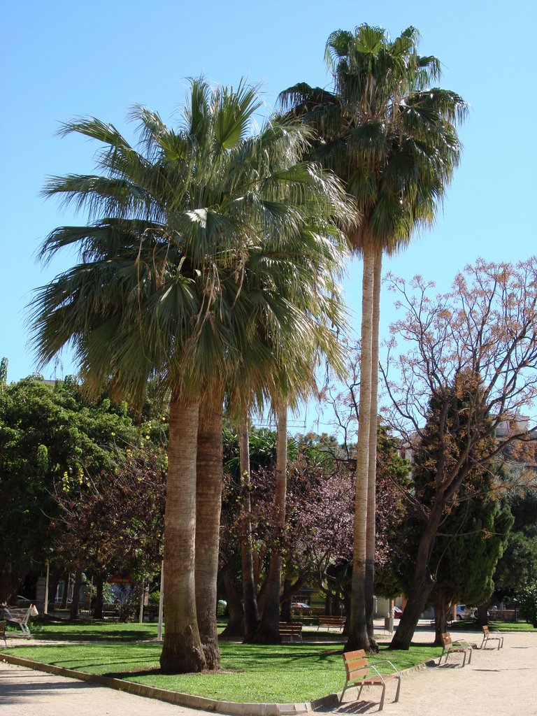 Parque de la estación by Traveleret