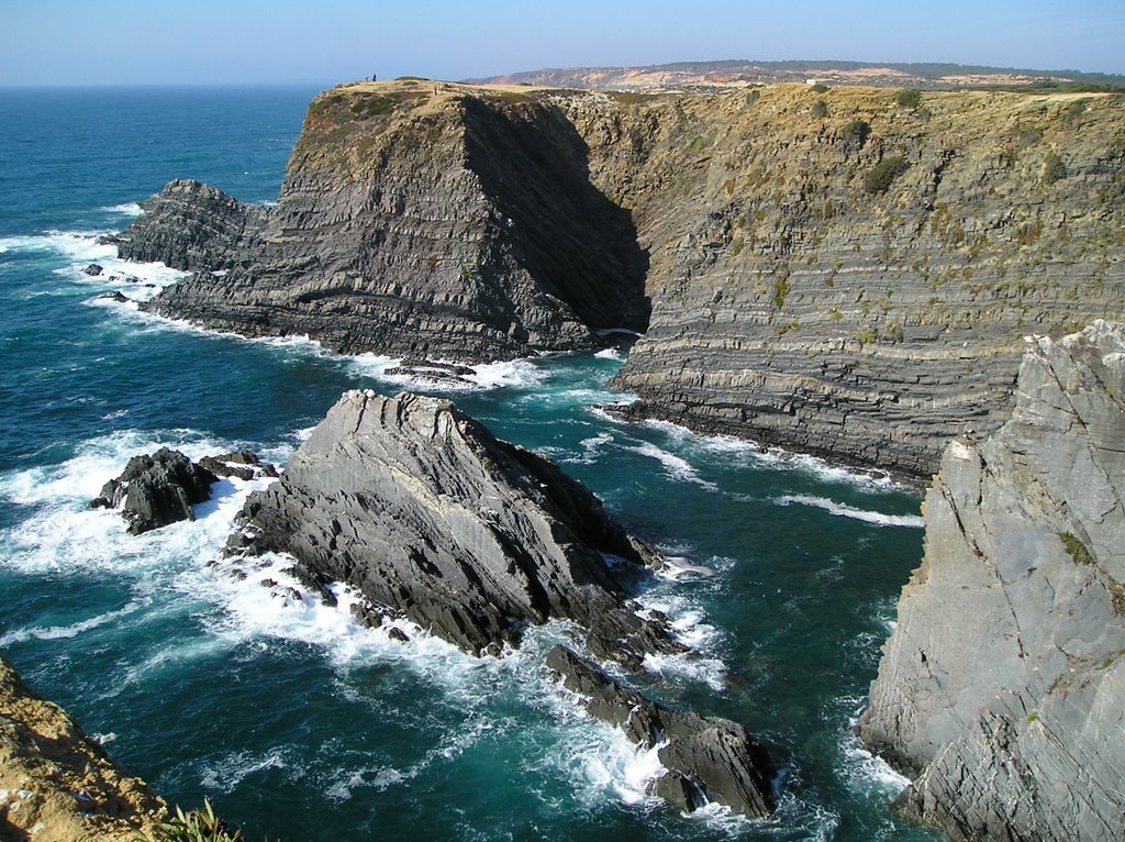 Cabo Sardão by Andre Sa