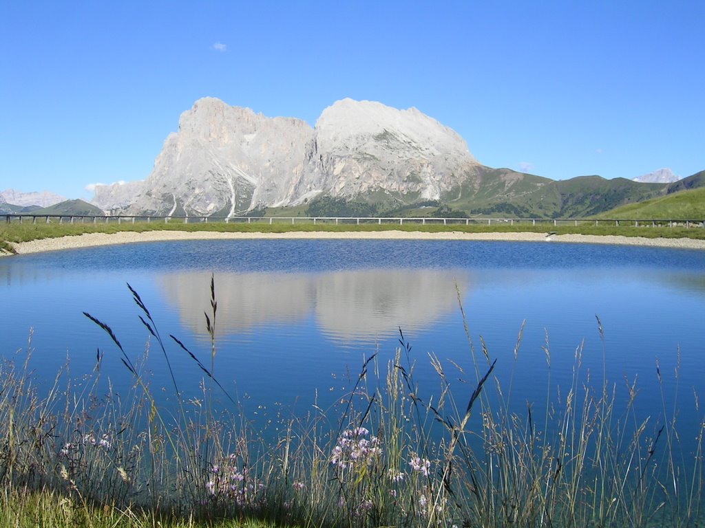 Il sasso lungo ed il sasso piatto nel laghetto fiorito by arturo defilippi