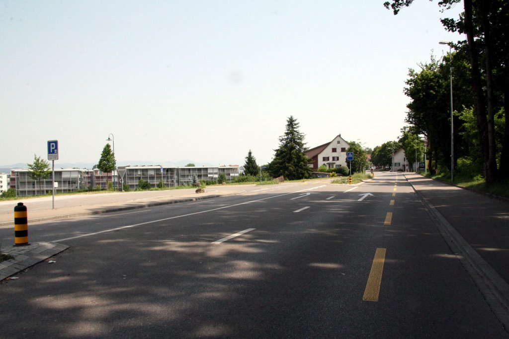 Dübendorferstrasse vor dem Zentrum by vodua