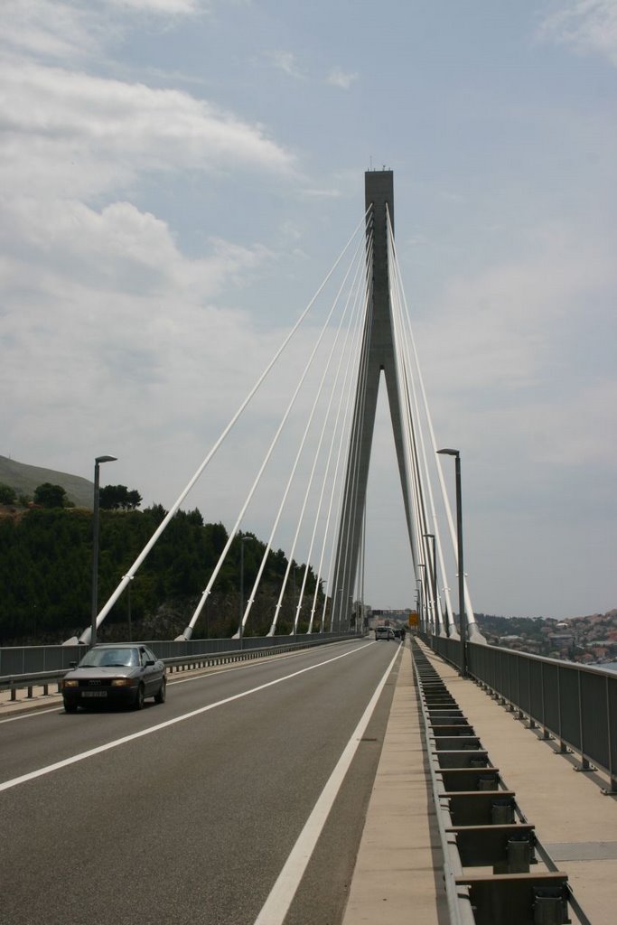 Bridge-pier by Mihaly Barosi