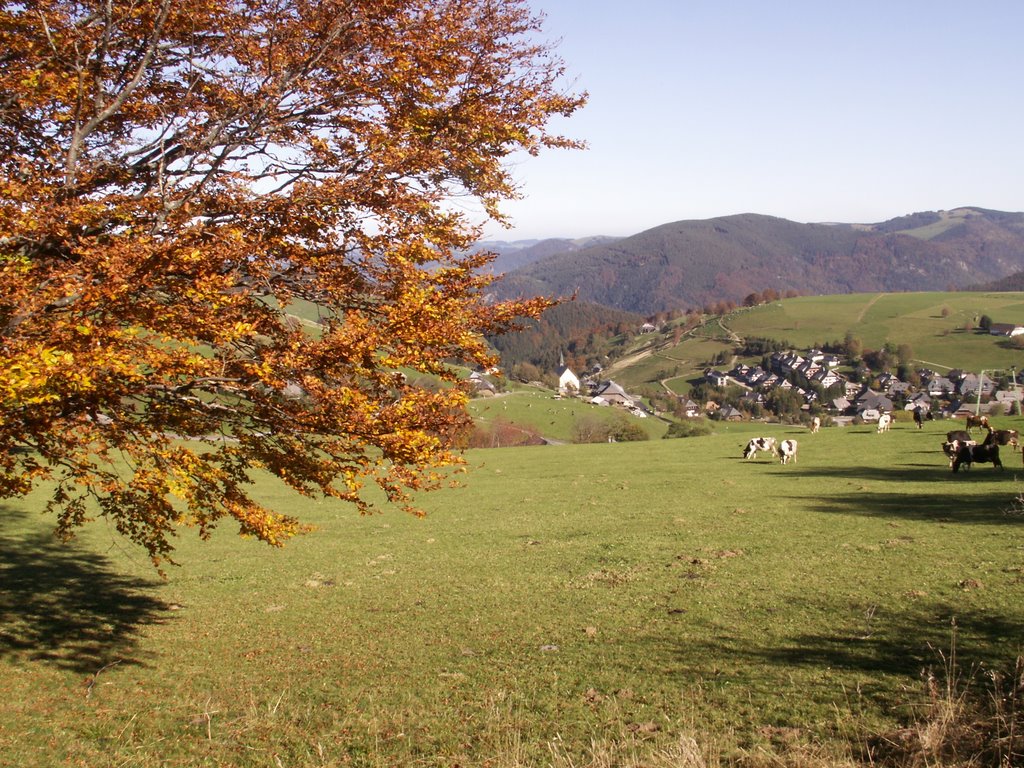 Schauinsland Herbst über Hofsgrund by Gerhard Rehm