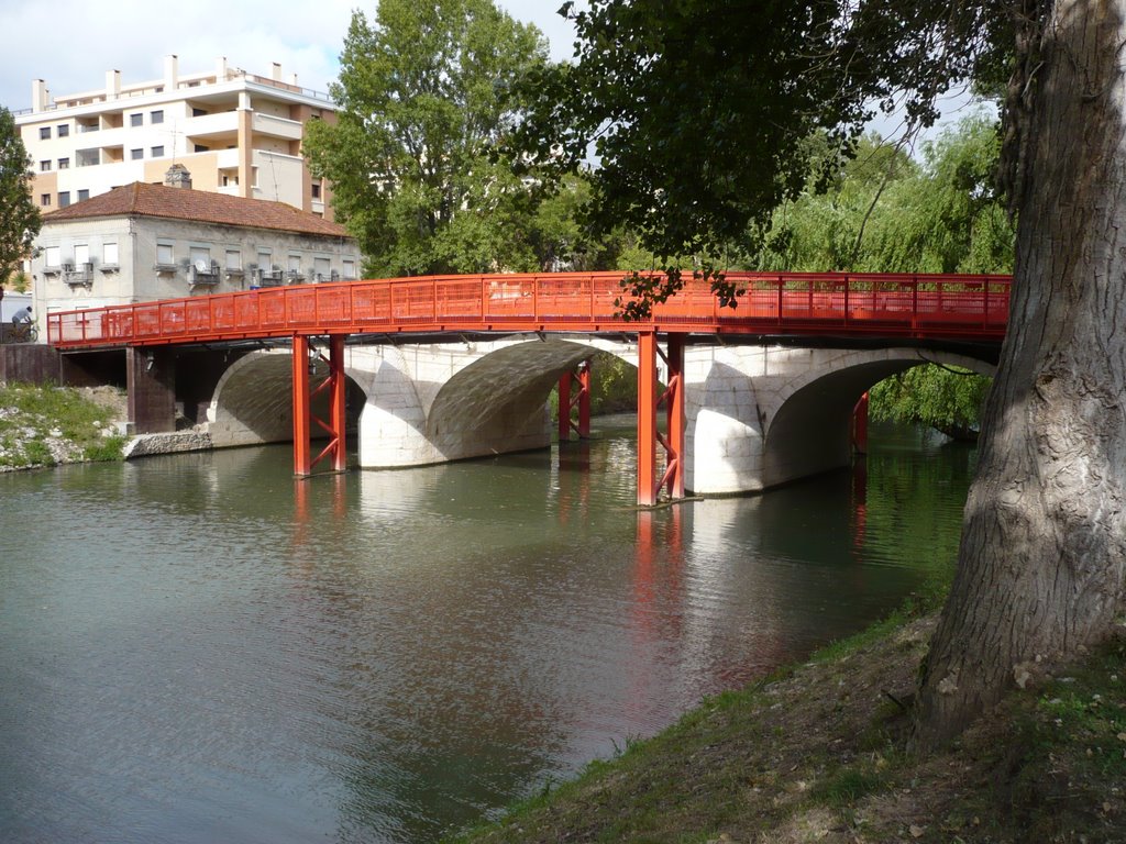 Ponte sobre o Lis by Dj Mark Guedes