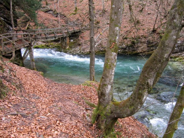 The Kamačnik river by Gábor Ligeti