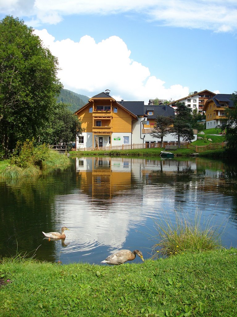 Teich bei der Einkehr - Hotel Trattlerhof - Bad Kleinkirchheim by lukasino1