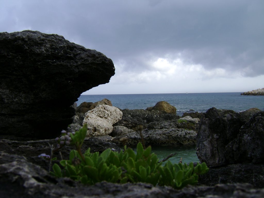 Xcaret Cancun by Eduardo Rivera