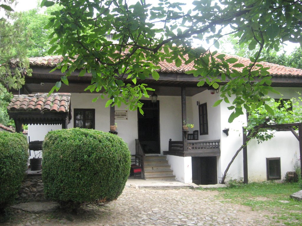 Vranje - House - Museum Bora Stanković by sonjamar