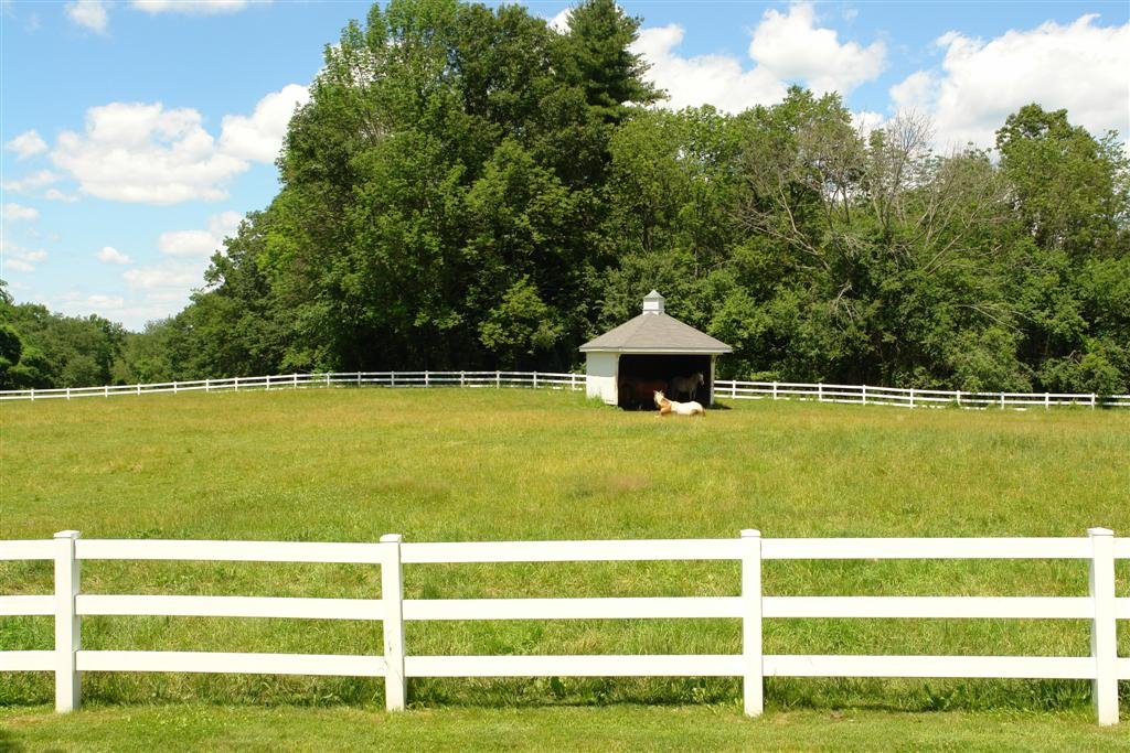 Horses resting in shade stall - On Dudley Road - Huckins Farm - Bedford, MA by John M Sullivan