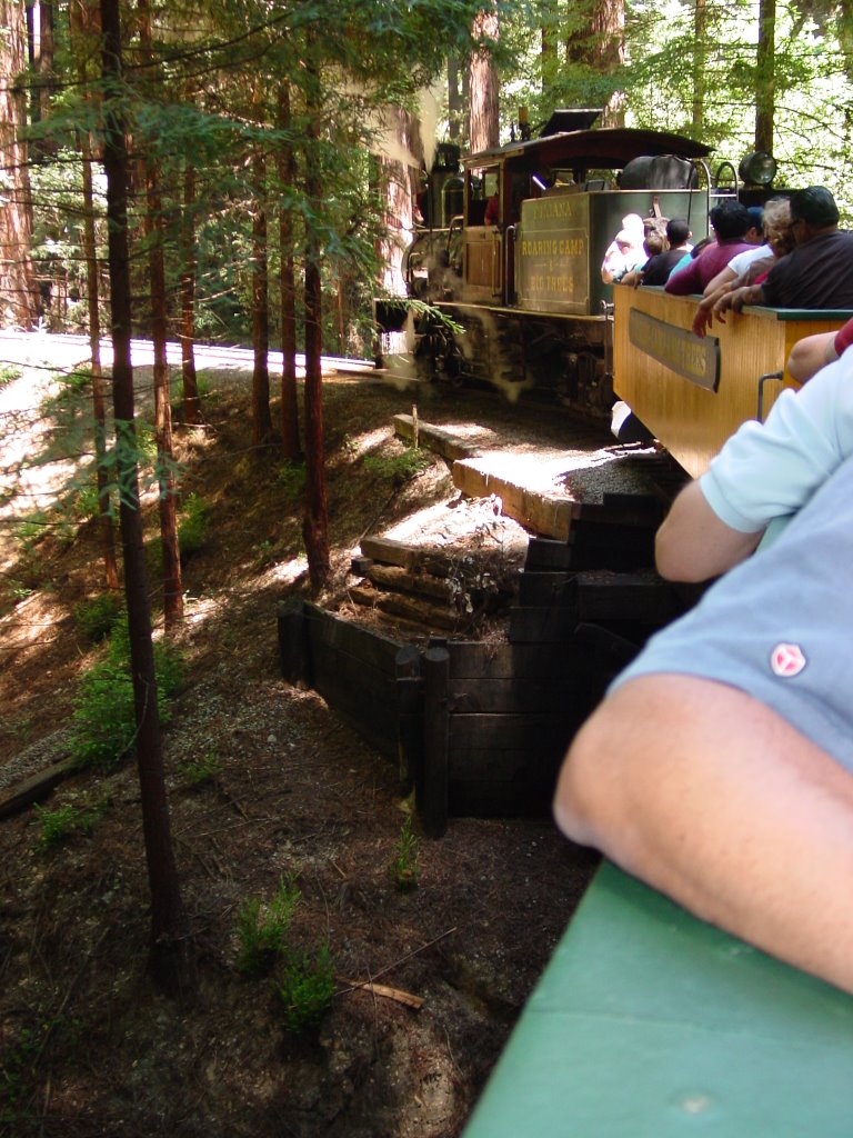 Roaring Camp, Felton by shansen