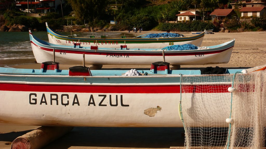 Canoas bordadas by andre paiva