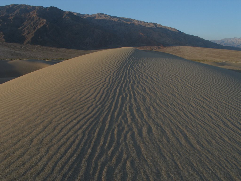 Sand Dunes Facing North West by ddmondo