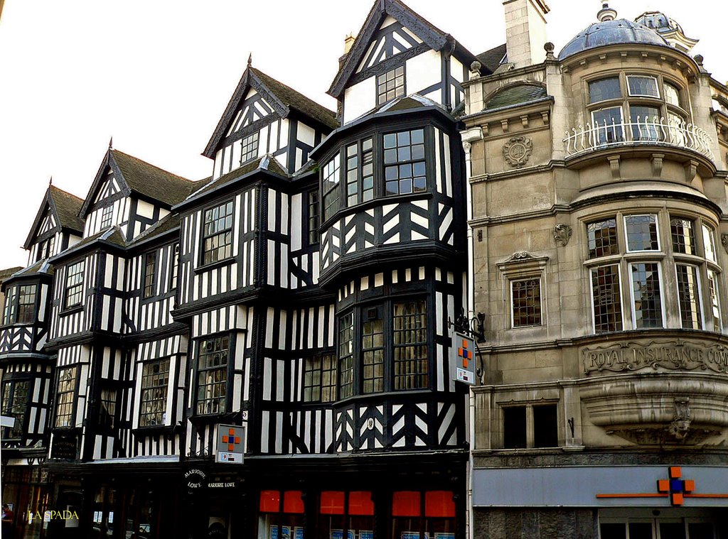 Shrewsbury Tudor by ealaspada