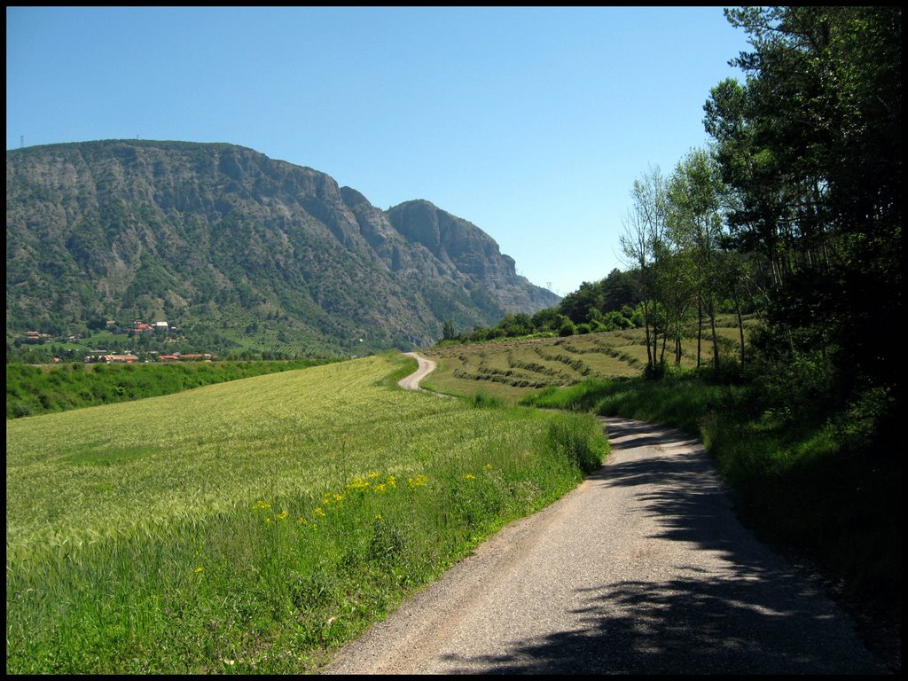 La route de Gréoliers by David Bertizzolo