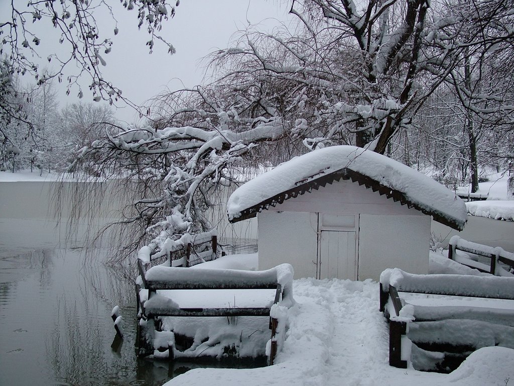 Atatürk Arboretum -Bahceköy by Ufuk Ünver