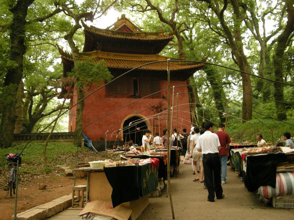 Putuo, Zhoushan, Zhejiang, China by 守望星空