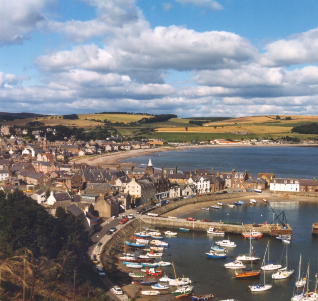 Stonehaven Harbour by Peter Webster