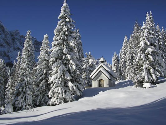 Winter in comelico by Stefano Marsi