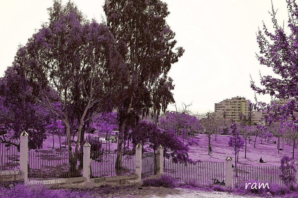 Benalmádena, Málaga, Spain by ramtto