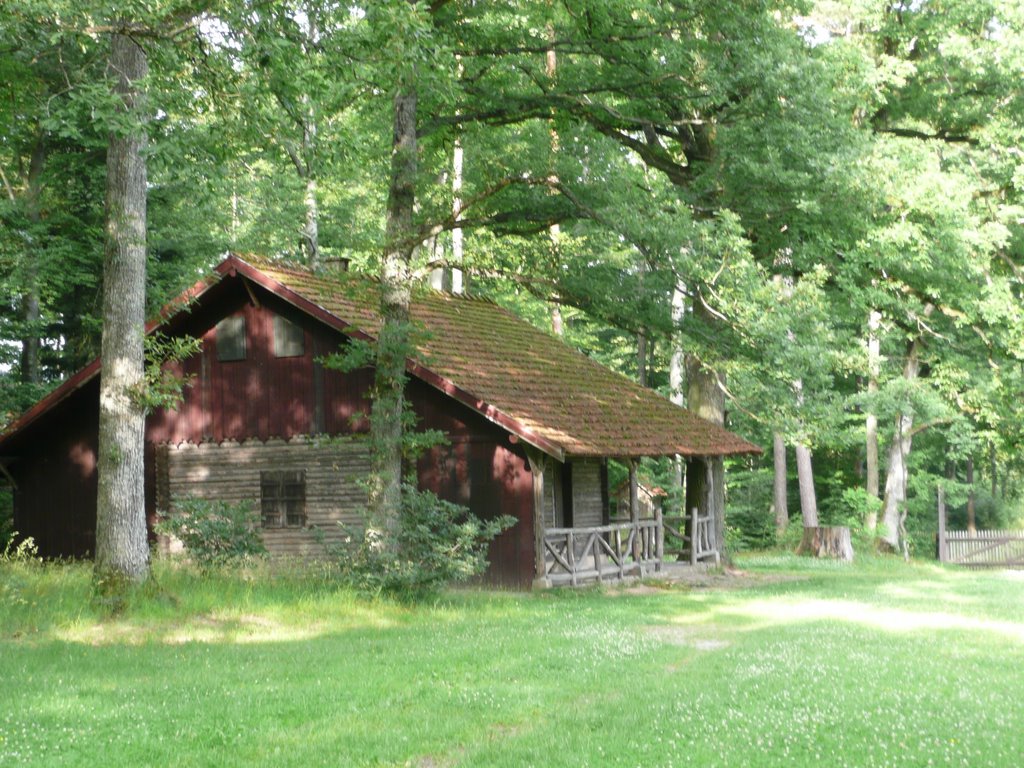 Königliche Jagdhütte (1888) im Naturpark Schönbuch by Qwesy